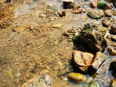 -青岛第三海水浴场