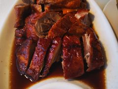 -云中小雅