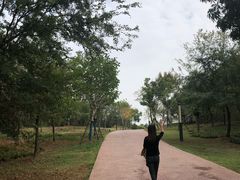 -盘龙城国家考古遗址公园