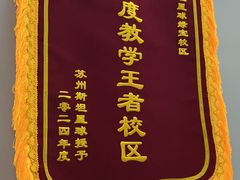 -斯坦星球AI编程·机器人科创·乐高科学·信奥·思维·专注力·STEM·竞赛考级(高新区绿宝广场龙湖狮山天街学习中心)