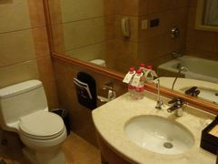 -长沙小天鹅戴斯酒店