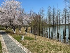 -苏州太湖国家湿地公园