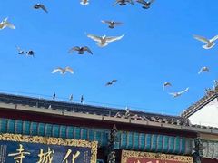 -九华山风景区