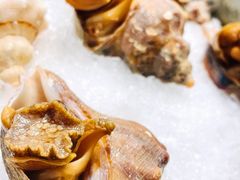 花雕酒醉海螺-金龙·打边炉(武进路店)