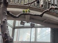 -正佳雨林生态植物园