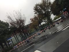 -上海南站