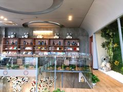 -了不起的考拉咖啡店(高新店)