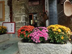 -寂照庵