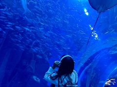 -成都浩海立方海洋公园