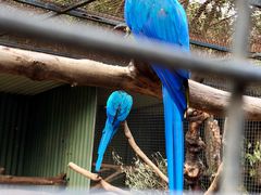 -费瑟代尔野生动物园