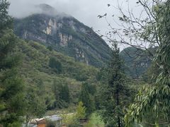 -鹿院坪生态旅游景区