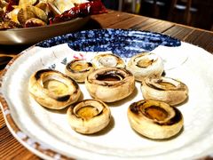 -食戟
