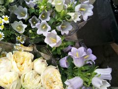 -宝鸡东道花鸟鱼虫市场(吉利花园商场店)