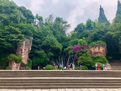 -峨眉山报国寺