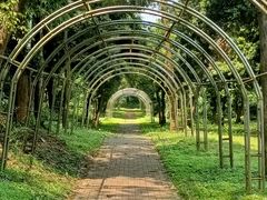 -南宁良凤江国家森林公园