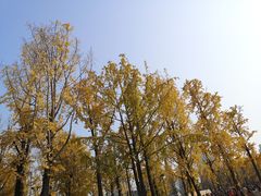 -两江幸福广场