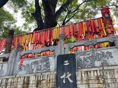 -大槐树寻根祭祖园