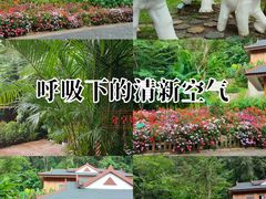 -野象谷景区