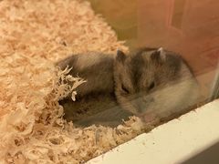 -龙猫仔乐园(惠福东路店)