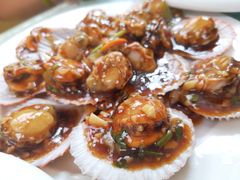 蚝油扇贝-华春餐馆(鱼山路店)
