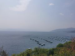 -抚仙湖禄充风景区