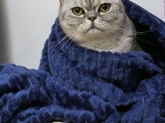 -大碗先生(万家丽店)