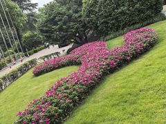 -北山街历史文化街区