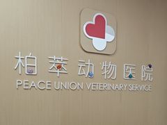 -柏萃动物医院·骨科·牙科