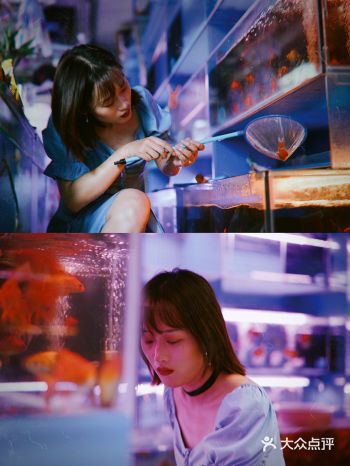 南京小众 | 花鸟市场拍故事感复古情绪片