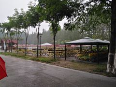 -黄海国家森林公园