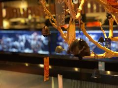 -石葵(锦业时代店)