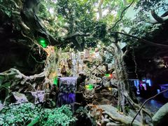 -多彩贵州城极地海洋世界