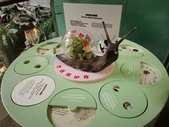 -正佳雨林生态植物园