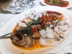 多宝鱼-张记旺角食街(动物园店)