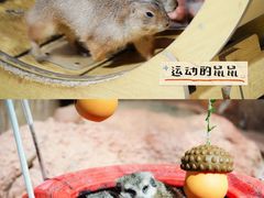 -正佳雨林生态植物园