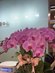 -杭州米兰柏羽医疗美容医院