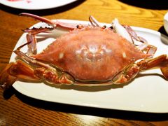 -船歌·鱼水饺青岛菜(金狮广场店)