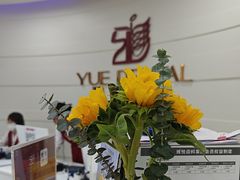 -雅悦齿科(顾村公园店)