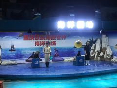 -重庆欢乐海底世界