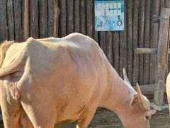 -泉州海丝野生动物世界