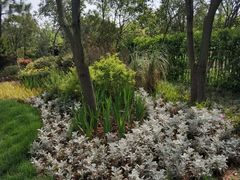 -艾溪湖湿地公园