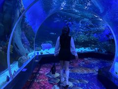 -顺德南宏海立方海洋公园