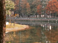 -四海公园(南山区)