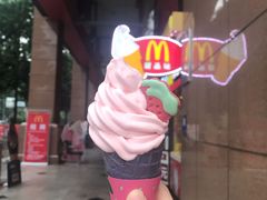 -麦当劳(文武路店)