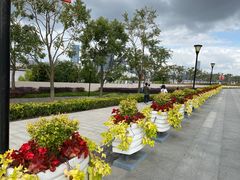 -上海山野camping·户外天幕烧烤·团建拓展营地