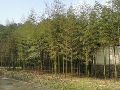 -兰亭风景区