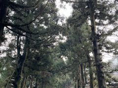 -南岳衡山风景名胜区