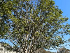 -东钱湖旅游度假区