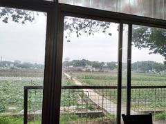 -米岗农庄