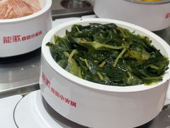 -龍歌自助小火锅(雨花台江南虹悦城店)